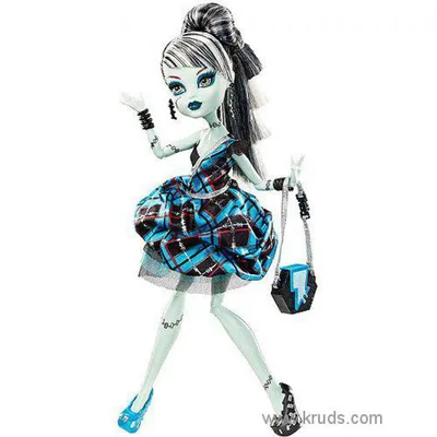 Купить коллекционная кукла Monster High День фотографии Фрэнки Штейн, цены  на Мегамаркет