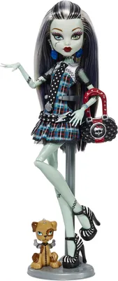 Кукла Монстер Хай Френки Штейн базовая с питомцем Monster High Frankie  Stein Creeproduction Doll – фото, отзывы, характеристики в  интернет-магазине ROZETKA от продавца: Zaika | Купить в Украине: Киеве,  Харькове, Днепре, Одессе,