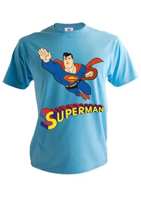 Футболка superman — цена 120 грн в каталоге Футболки ✓ Купить мужские вещи  по доступной цене на Шафе | Украина #123149182
