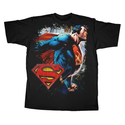 Мужская футболка superman classic с круглым вырезом и длинными рукавами с  логотипом Fifth Sun, синий – заказать из-за границы с доставкой в  «CDEK.Shopping»