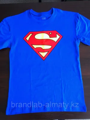 Flying superman - летящий супермен детская футболка с коротким рукавом  (цвет: белый) | Все футболки интернет магазин футболок. Дизайнерские  футболки, футболки The Mountain, Yakuza, Liquid Blue