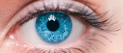 Ретинопатия глаз. Виды и лечение - Astana Vision