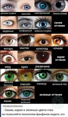 Как убрать красные глаза на фото | 4 рабочих способа - Hi-Tech Mail.ru