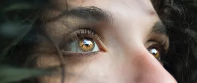 Строение глаза и функционирование зрительной системы