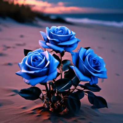 Сияющие в темноте голубые розы на …» — создано в Шедевруме