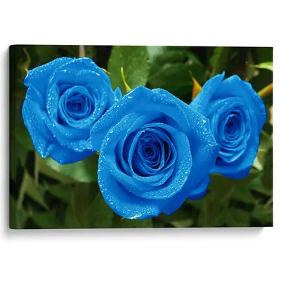 Картина на холсте \"Голубые розы\"