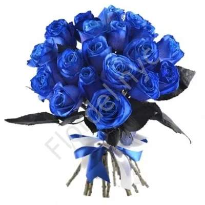 Синие розы в подарок: когда и кому можно подарить букет