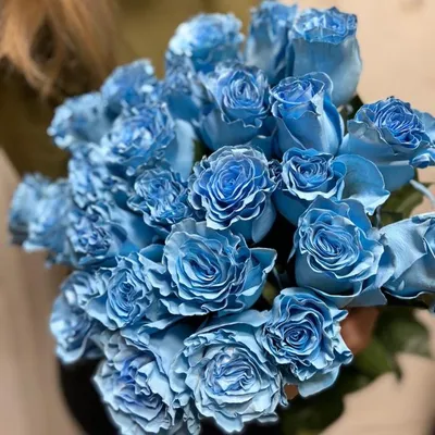 Букет голубых роз за 4 790 руб. | Бесплатная доставка цветов по Москве