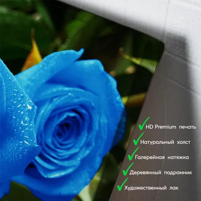 101 синяя роза - Доставкой цветов в Москве! 16412 товаров! Цены от 487 руб.  Цветы Тут