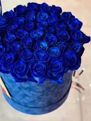 Синие Розы купить букеты в Санкт-Петербурге доставка низкие цены