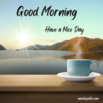 Good Morning Picture. Wishing you a wonderful day. Good morning any day of  the week. | Good morning sunshine quotes, Good morning quotes, Good morning  nature