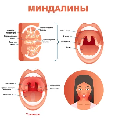 Аквалор Горло купить в Санкт-Петербурге, цена, доставка и отзывы, Аквалор  Горло инструкция по применению, дешевые аналоги, описание, заказать в  Санкт-Петербурге с доставкой на дом