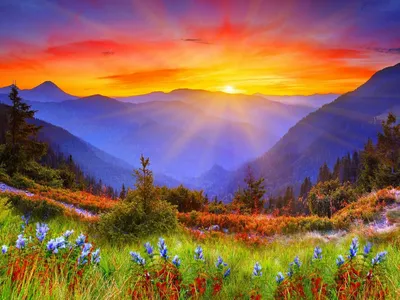 Скачать обои закат, горы, деревья, цветы бесплатно для рабочего стола в  разрешении 1920x1440 — картинка №532194 | Фотография природы, Натуральный,  Пейзажи