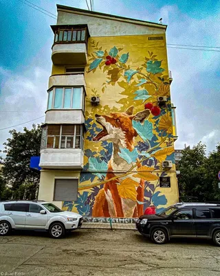 Красочное граффити появилось в Кировском районе (ФОТО) — Новости Хабаровска