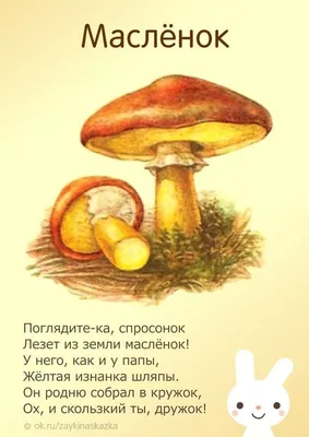 ГРИБЫ для детей. Лексическая тема \"ГРИБЫ\".🍄 ИЗУЧАЕМ ГРИБЫ. Развивающее  видео - YouTube