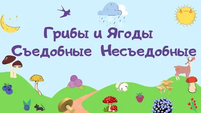 The studied mushrooms. Names of fungi. Poems about mushrooms for the  children - YouTube