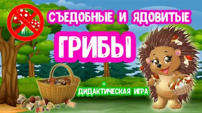 Картинки грибы и ягоды для детей