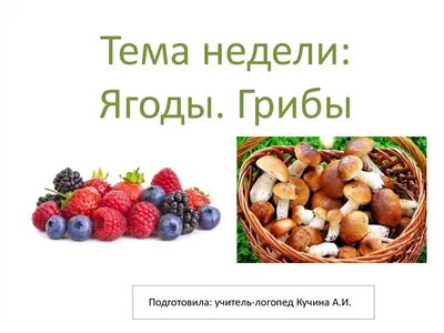 Обучающие карточки Г. Домана «Грибы и ягоды», на скрепке, 20 стр. (3445452)  - Купить по цене от 17.50 руб. | Интернет магазин SIMA-LAND.RU