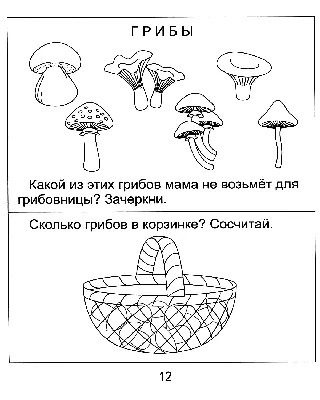 Конспект НОД по рисованию в старшей группе на тему «Грибы» (7 фото).  Воспитателям детских садов, школьным учителям и педагогам - Маам.ру