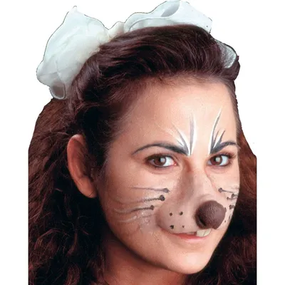 Мордочка кошки на лице (27 фото) | Виды макияжа, Кошачий глаз макияж,  Предметы макияжа