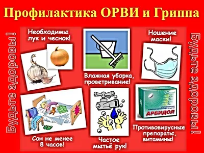 Профилактика гриппа и ОРВИ: памятка населению