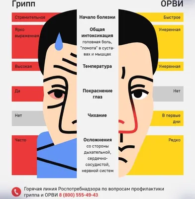 Грипп, ОРВИ, коронавирус: мифы, факты и полезные рекомендации - Объявления  - Новости - Студентам - Алтайский государственный университет