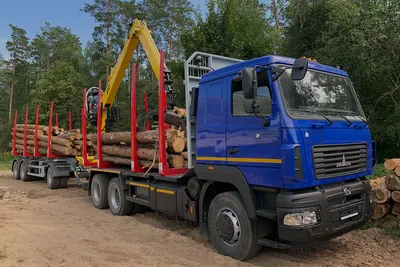 Прицепы для грузовых автомобилей - купить грузовые прицепы с доставкой по  России