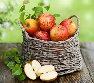 яблоки в плетенной корзинке. спелые румяные яблоки выпали в травуиз корзины  Stock Photo | Adobe Stock