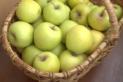 яблоки в плетенной корзинке. спелые румяные яблоки выпали в травуиз корзины  фотография Stock | Adobe Stock