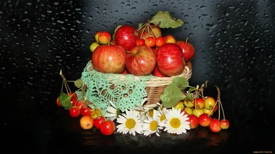Фотообои \"Яблоки в корзине на траве\" - Арт. 310092 | Купить в  интернет-магазине Уютная стена