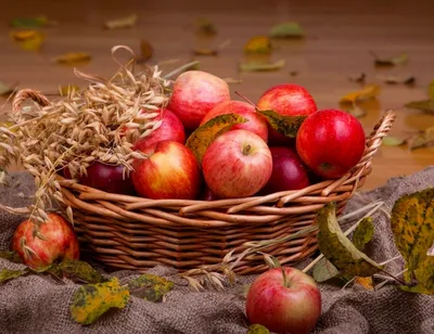 Яблоки в корзине стоковое фото ©molka 12463544