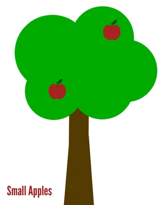 Проект \"яблоня - дерево здоровья\"