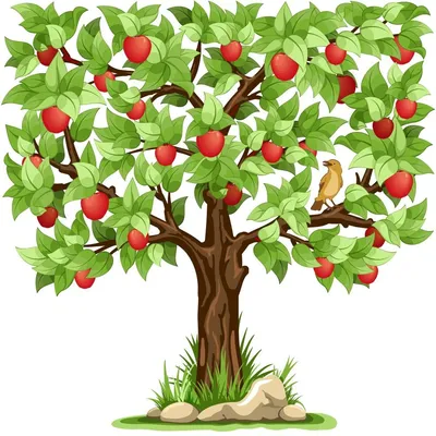 Яблоня - картинка для детей в школу и в детский садик.