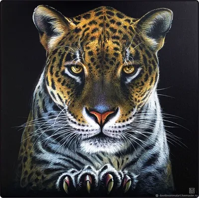 Дикий ягуар в природе стоковое фото ©EBFoto 140326482