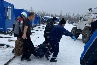 Медведь напал на двоих мужчин в Ленском районе Якутии — ЯСИА