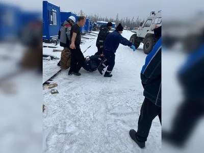 Догнал в два прыжка и снял скальп: что известно о нападении медведя на  вахтовиков в Якутии - KP.RU