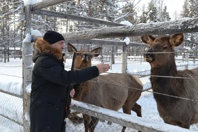 В природном парке «Живые алмазы Якутии» проверили, как зимуют животные —  Улус Медиа