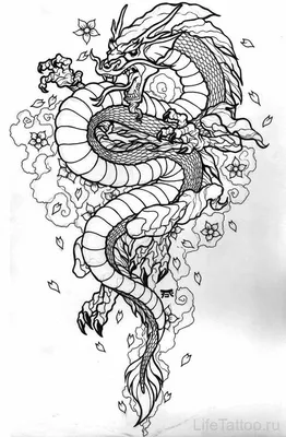 Японский дракон рисунок арт (50 фото) » рисунки для срисовки на Газ-квас.ком