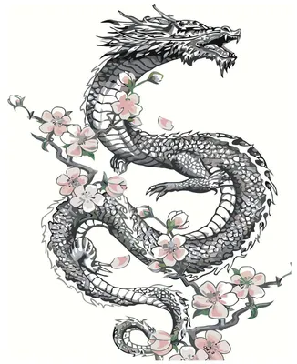 Японский красный дракон на белизне Иллюстрация вектора - иллюстрации  насчитывающей человек, япония: 118462571