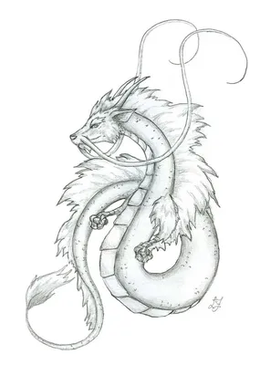 Картина по номерам Дракон Японский Китайский дракон 40х50 - купить с  доставкой по выгодным ценам в интернет-магазине OZON (400766480)