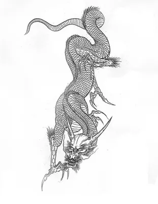 Эскизы японских драконов • Сборник работ мастера Horimouja | Japanese  dragon tattoos, Dragon tattoo face, Dragon tattoo