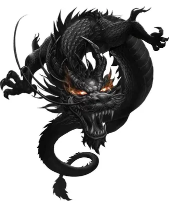 иллюстрация японского дракона Иллюстрация вектора - иллюстрации  насчитывающей линия, одежда: 259459371