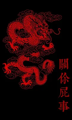 Дракон силуэта руки вычерченный Китайская татуировка дракона Черно-белый  традиционный японский дракон Книжка-раскраска дракона Иллюстрация вектора -  иллюстрации насчитывающей фантазия, рука: 146874294