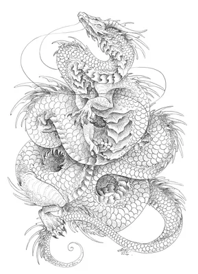 Японский Дракон — стоковая векторная графика и другие изображения на тему  Дракон - Дракон, Китайский Дракон, Картина - iStock