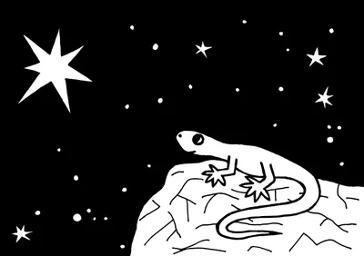 Ящерица смотрит на звезду « Папа Карп