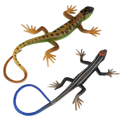 Змеи, ящерицы и рептилии набор иллюстраций с животными для детей зоопарк  векторный рисунок в мультяшном стиле | Премиум векторы