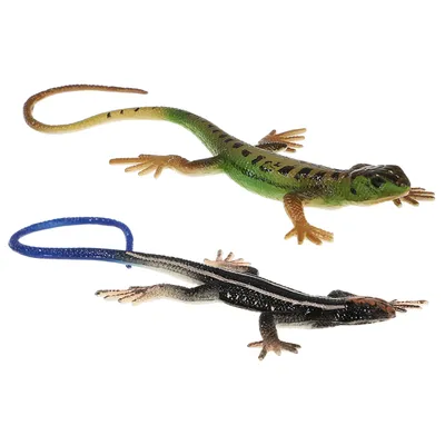 Фигурки ящерицы 2 шт., рептилии, цветные искусственные реквизиты, страшные  игрушки, развивающие игрушки для детей, змея, дерево | AliExpress