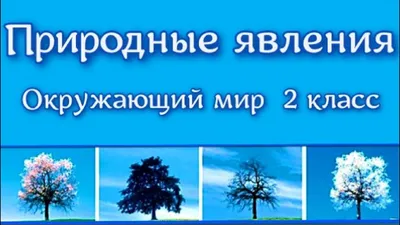 Явления природы картинки для детей - 35 фото