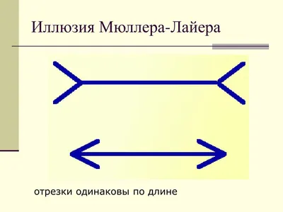 Общая психопатология | Обучение | РОП