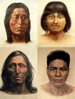 вектор коренных индейцев PNG , индеец, мультфильм индейцев, вектор индейцев  PNG картинки и пнг рисунок для бесплатной загрузки